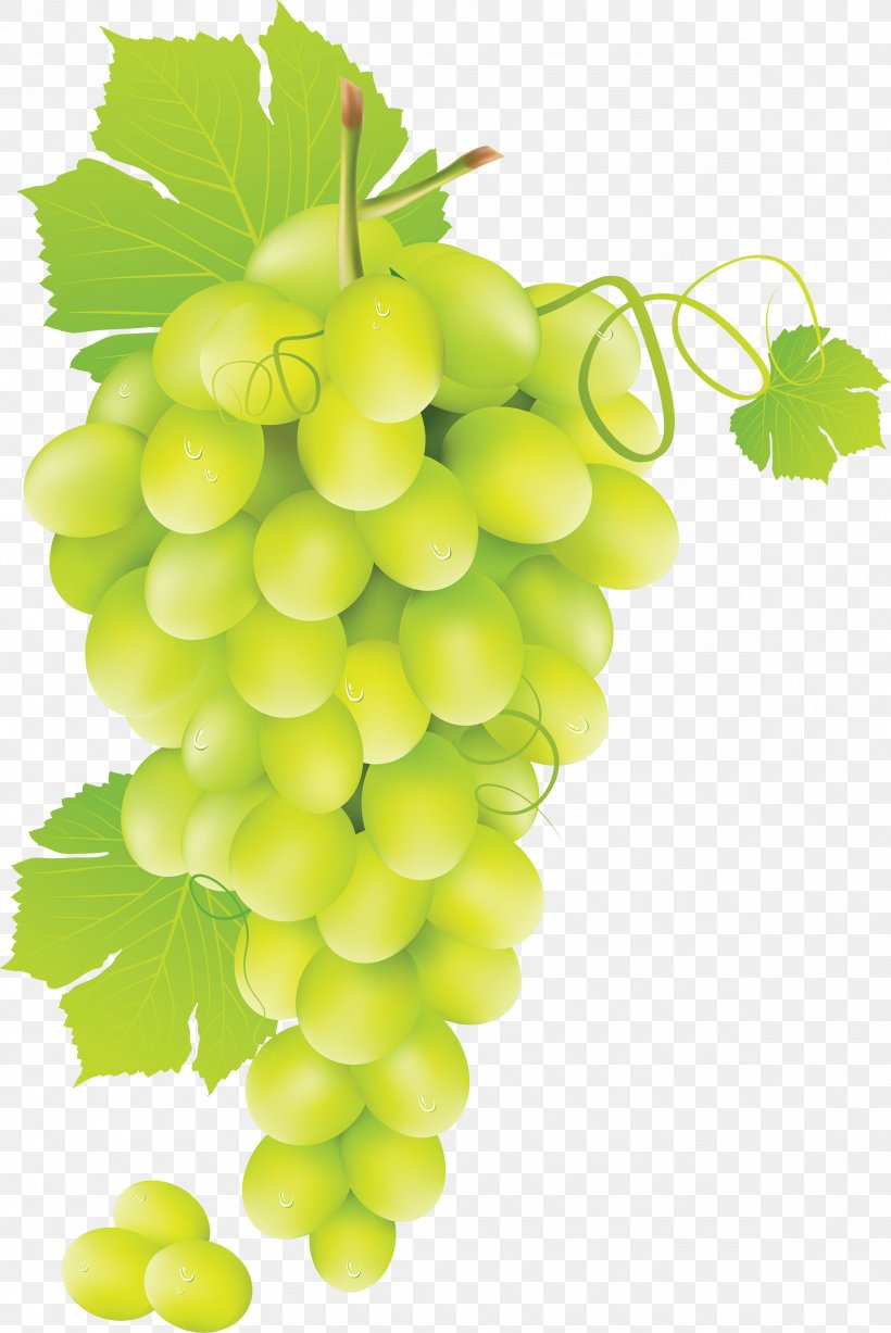 Common Grape Vine Juice Clip Art, PNG, 2384x3570px, Wine, Black And White, Flowering Plant, Food, Fruit Download Free