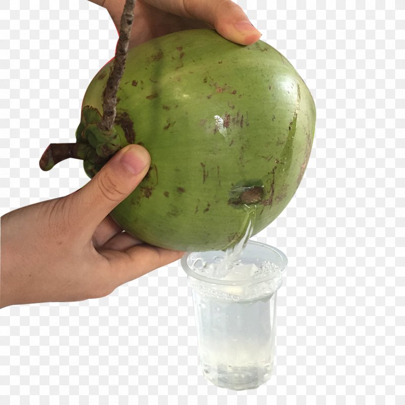 Coconut Milk Coconut Water, PNG, 850x850px, Coconut Milk, Coconut, Coconut Water, Food, Fruit Download Free