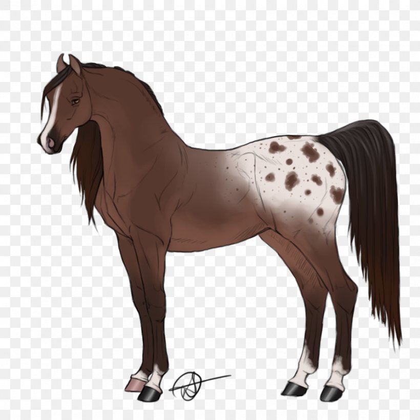 Foal Rein Stallion Mane Mare, PNG, 894x894px, Foal, Animal Figure, Bit, Bridle, Colt Download Free