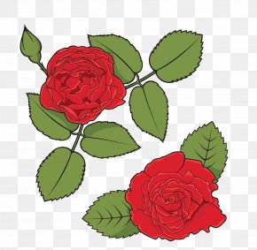 Cartoon Vector Roses - Rose Stock Photography Royalty-free Illustration PNG