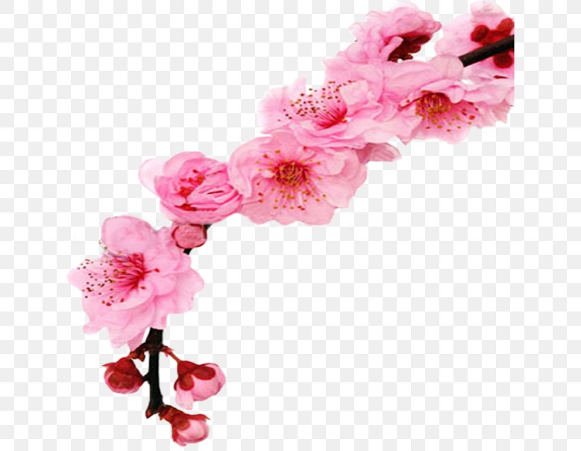 Cherry Blossom Floral Design Flower Royalty-free, PNG, 633x637px, Blossom, Artificial Flower, Azalea, Branch, Cherry Download Free
