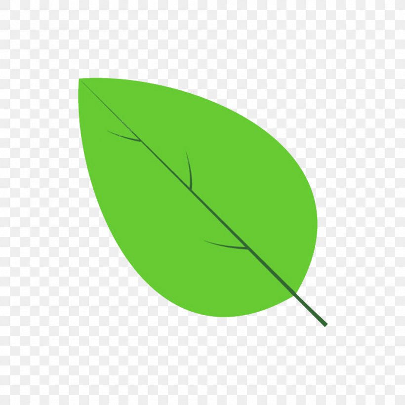 Leaf Line Angle Green, PNG, 950x950px, Leaf, Grass, Green, Plant Download Free