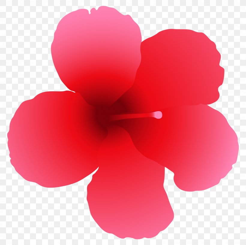 Rosemallows Vector Graphics Lily Royalty-free Illustration, PNG, 1600x1600px, Rosemallows, Flower, Flowering Plant, Hibiscus, Lily Download Free