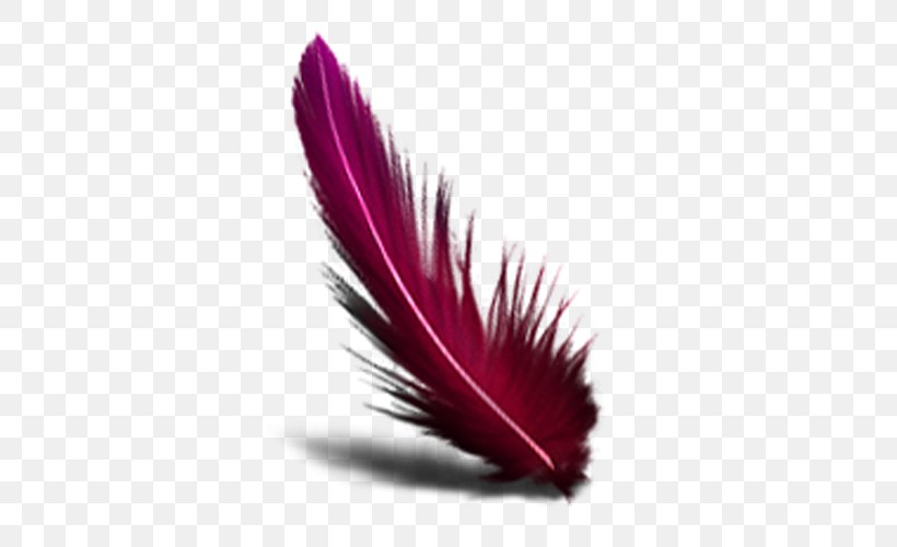 Feather Computer Mouse, PNG, 500x500px, Feather, Color, Computer Mouse, Magenta, Quill Download Free