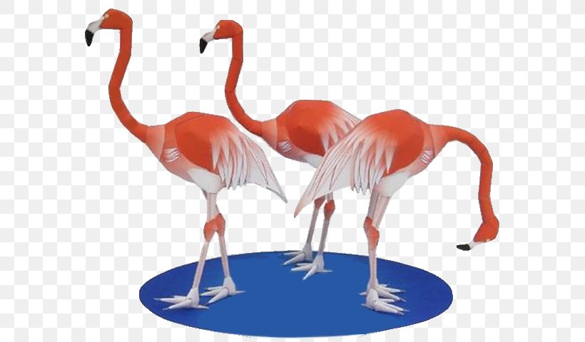 Flamingos Paper Model Scale Models Askartelu, PNG, 605x480px, Flamingos, Animal, Askartelu, Beak, Bird Download Free