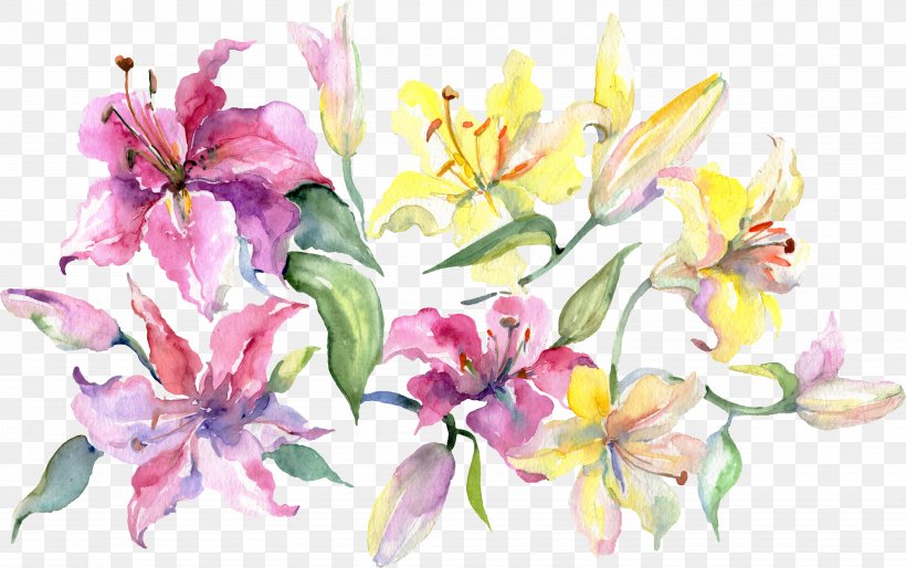 Lily Flower, PNG, 5085x3191px, Watercolor Painting, Cut Flowers, Drawing, Floral Design, Flower Download Free