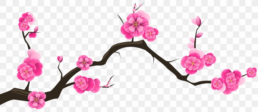 Cherry Blossom Branch Tree Almond, PNG, 6230x2705px, Cherry Blossom, Almond, Beauty, Blossom, Body Jewelry Download Free