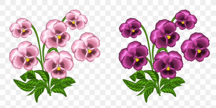 Light African Violets Pansy Clip Art, PNG, 1339x668px, Light, African Violets, Color, Cut Flowers, Drawing Download Free
