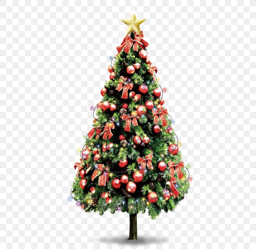 Samsung Galaxy S5 Santa Claus Christmas Tree Wallpaper, PNG, 800x800px, Samsung Galaxy S5, Christmas, Christmas Card, Christmas Decoration, Christmas Eve Download Free