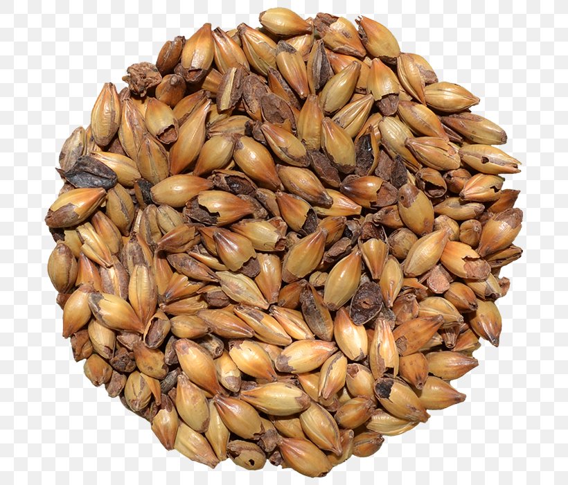 Beer Cereal Germ Malt Grain, PNG, 700x700px, Beer, Cereal, Cereal Germ, Commodity, Dinkel Wheat Download Free