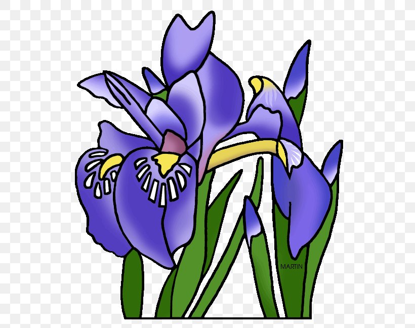 Louisiana Irises Tennessee Clip Art, PNG, 575x648px, Watercolor, Cartoon, Flower, Frame, Heart Download Free