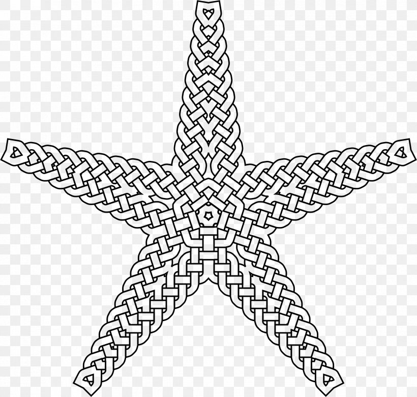 Starfish Lost Ocean, An Inky Adventure And Colouring Book, PNG, 2342x2228px, Starfish, Area, Black And White, Coloring Book, Echinoderm Download Free