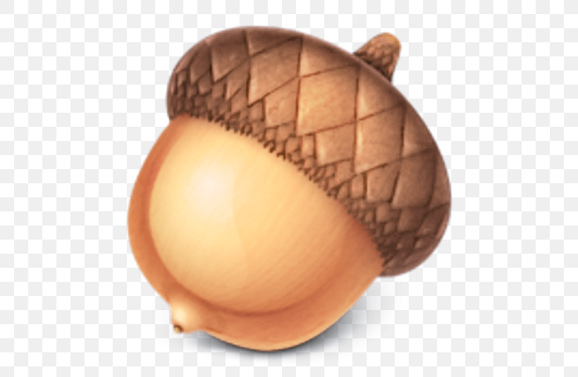Acorn Food Nut, PNG, 535x535px, Acorn, Food, Nut Download Free