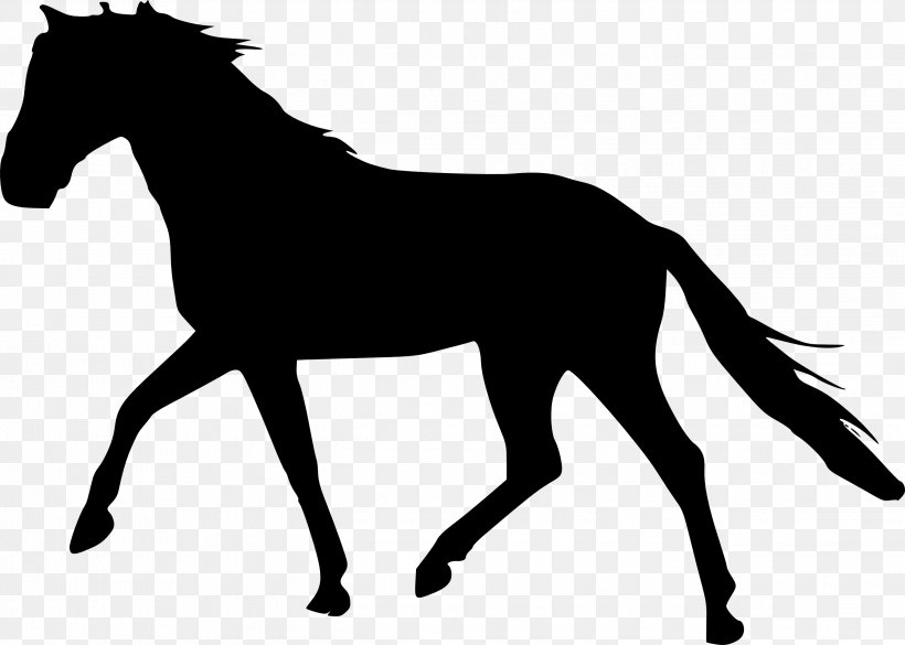 Clip Art Vector Graphics Horse Illustration, PNG, 2686x1919px, Horse, Animal Figure, Blackandwhite, Colt, Equestrian Download Free