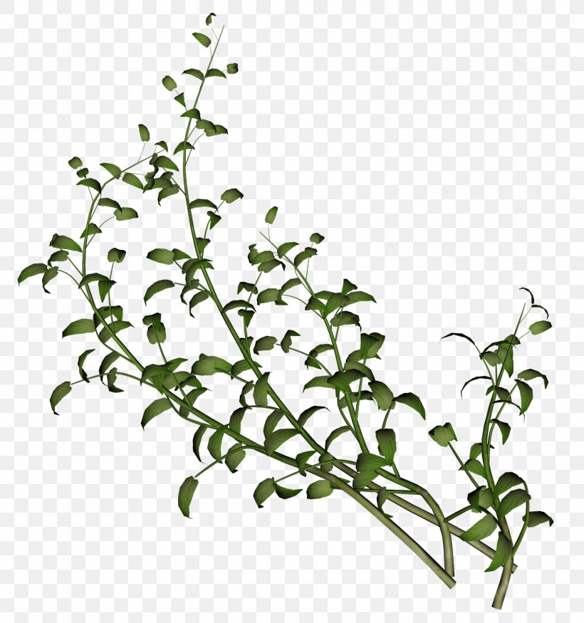 Herb, PNG, 1499x1600px, Flower, Branch, Flowering Plant, Grass, Herb Download Free