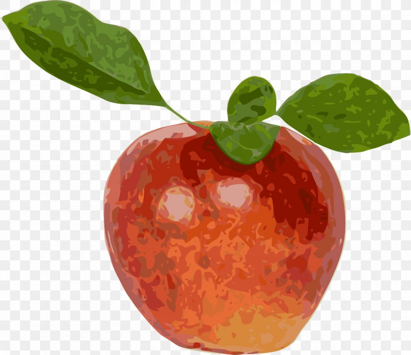 Apple Fruit Stock.xchng Vector Graphics, PNG, 1280x1107px, Apple, Drawing, Food, Fruit Download Free