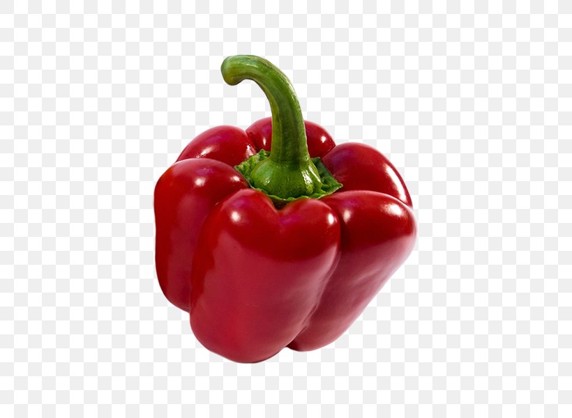 Habanero Serrano Pepper Cayenne Pepper Tabasco Pepper Bell Pepper, PNG, 600x600px, Habanero, Bell Pepper, Bell Peppers And Chili Peppers, Black Pepper, Capsicum Download Free