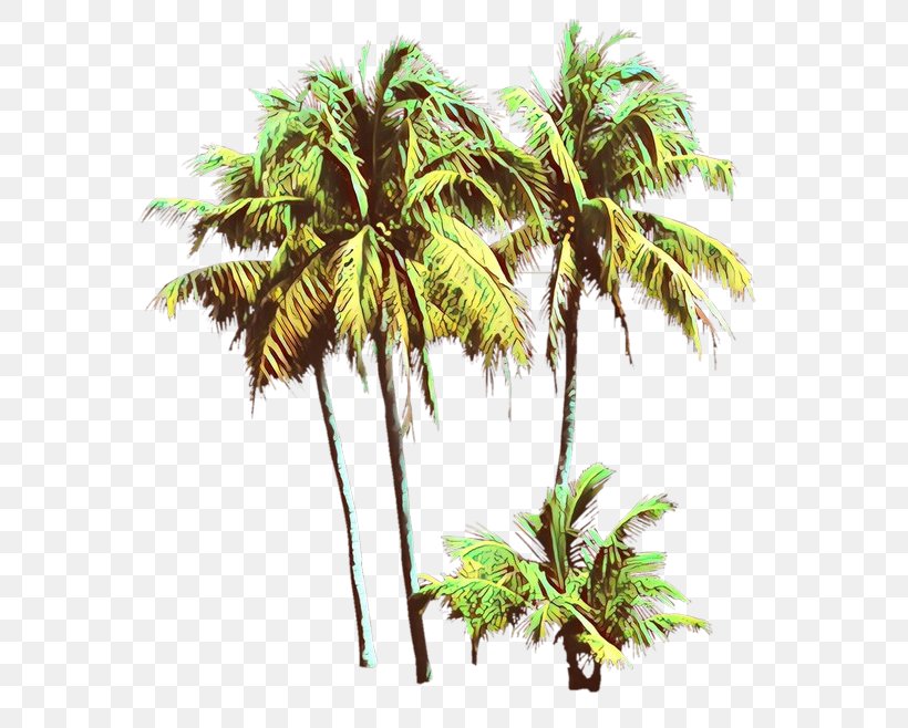 Palm Oil Tree, PNG, 600x658px, Asian Palmyra Palm, Arecales, Attalea, Attalea Speciosa, Babassu Download Free