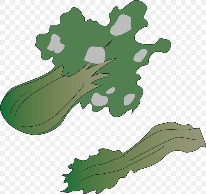 Clip Art, PNG, 1709x1610px, Napa Cabbage, Cartoon, Environmental Protection, Google Images, Grass Download Free