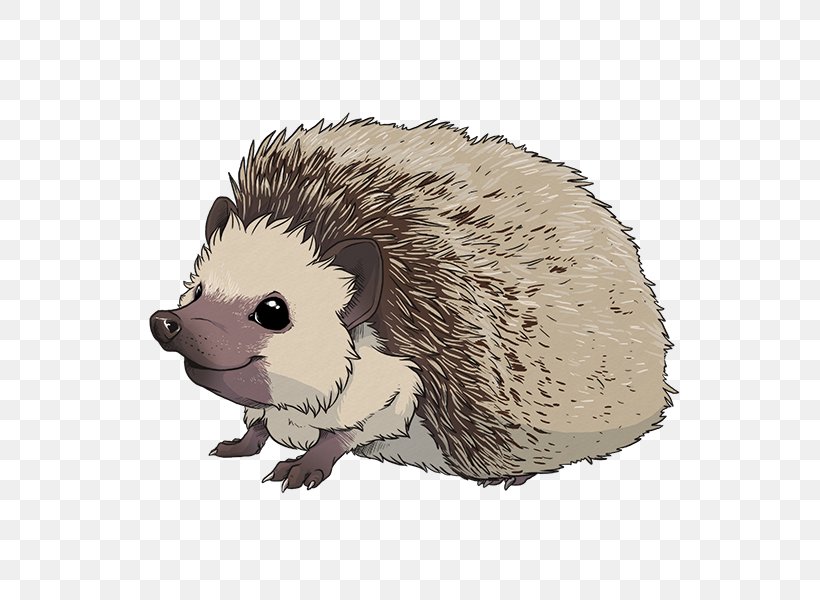 Hedgehog Care Sticker Sea Lion Pet, PNG, 600x600px, Hedgehog, Animal, Carnivoran, Com, Common Opossum Download Free