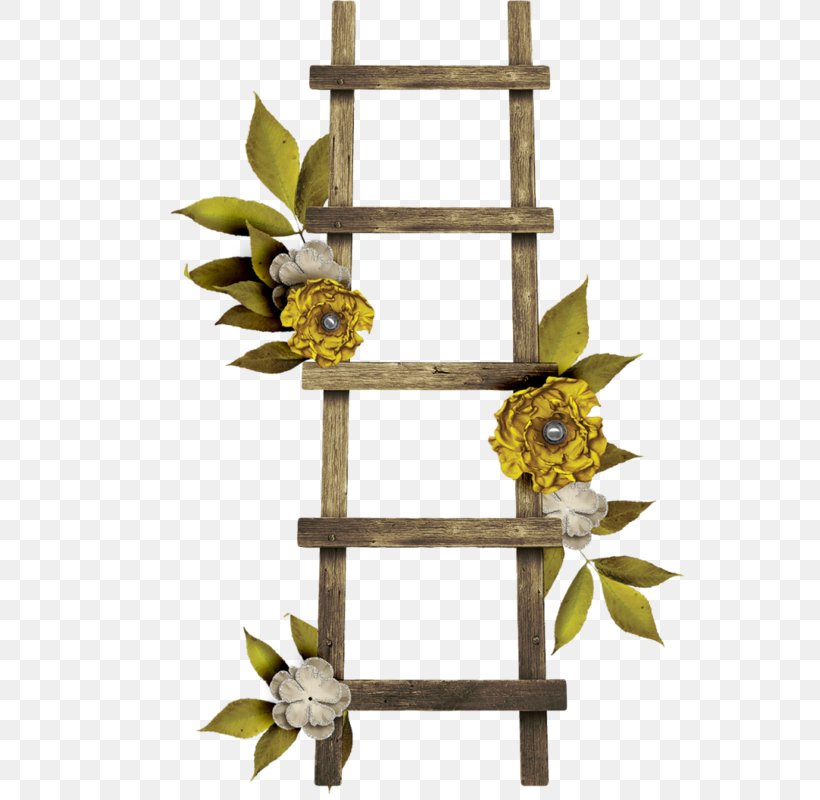 Stairs Ladder Wood, PNG, 550x800px, Stairs, Flower, House, Ladder, Leaf Download Free