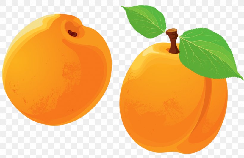 Tangerine Apricot Peach, PNG, 1024x664px, Tangerine, Apple, Apricot, Citrus, Diet Food Download Free