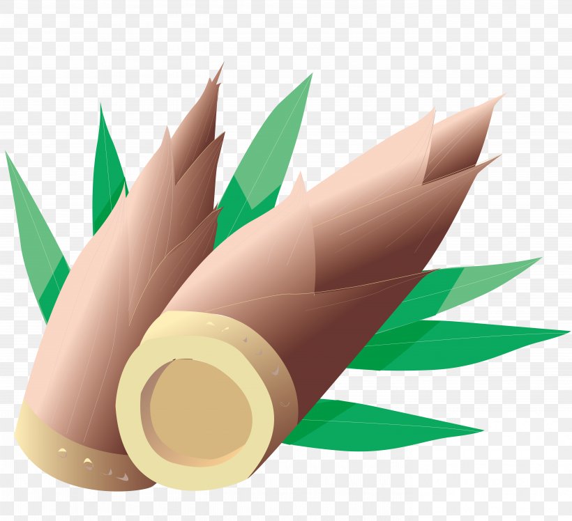 Bamboo Shoot Clip Art, PNG, 5675x5177px, Bamboo Shoot, Bamboe, Bamboo, Banco De Imagens, Drawing Download Free