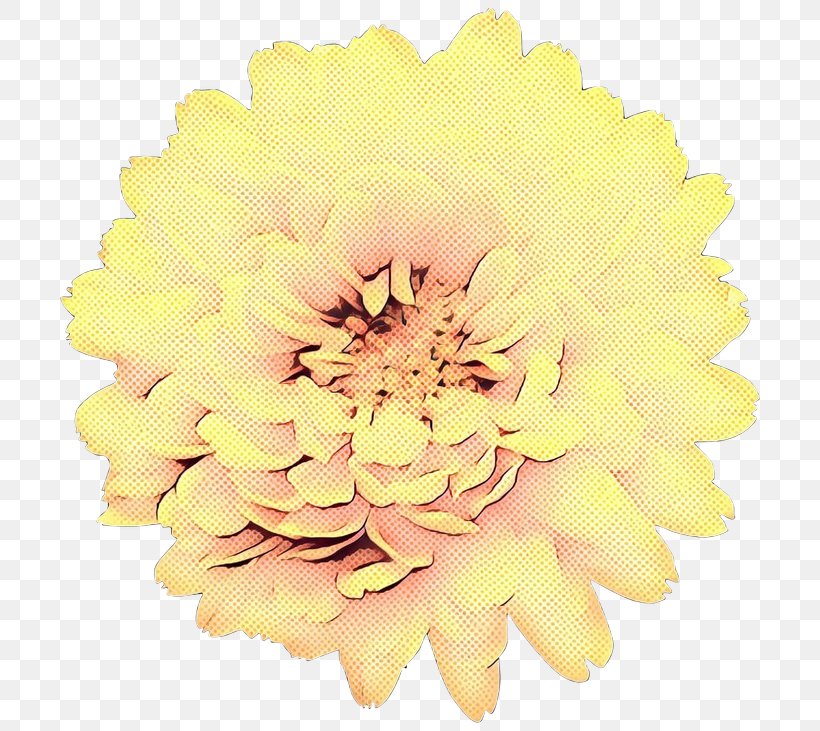 Chrysanthemum Transvaal Daisy Cut Flowers Dahlia, PNG, 716x731px, Chrysanthemum, Artificial Flower, Beige, Chrysanths, Cut Flowers Download Free