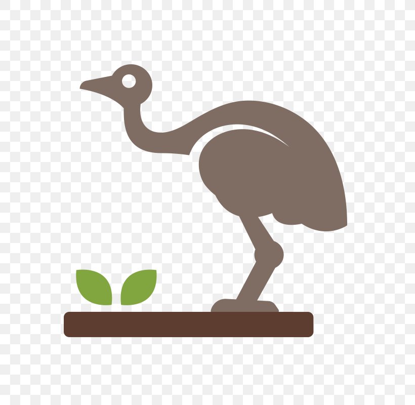 Common Ostrich Clip Art, PNG, 600x800px, Common Ostrich, Animal, Beak, Bird, Ducks Geese And Swans Download Free