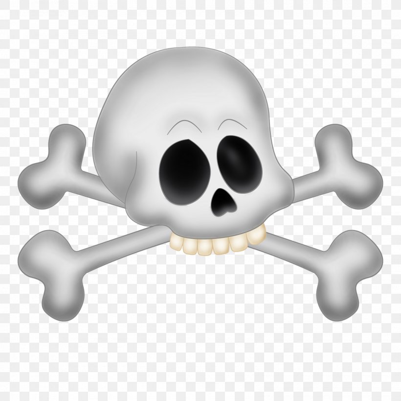 Bone Skull Photography, PNG, 1600x1600px, Bone, Birthday, Candy Bar, Jaw, Joint Download Free