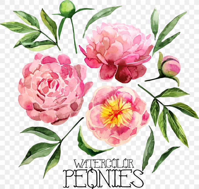 Hand-painted Peony, PNG, 1225x1164px, Watercolor Painting, Camellia, Cut Flowers, Floral Design, Floristry Download Free