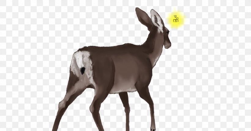 Antelope White-tailed Deer Goat Wildlife, PNG, 1200x630px, Antelope, Animal, Antler, Cow Goat Family, Deer Download Free