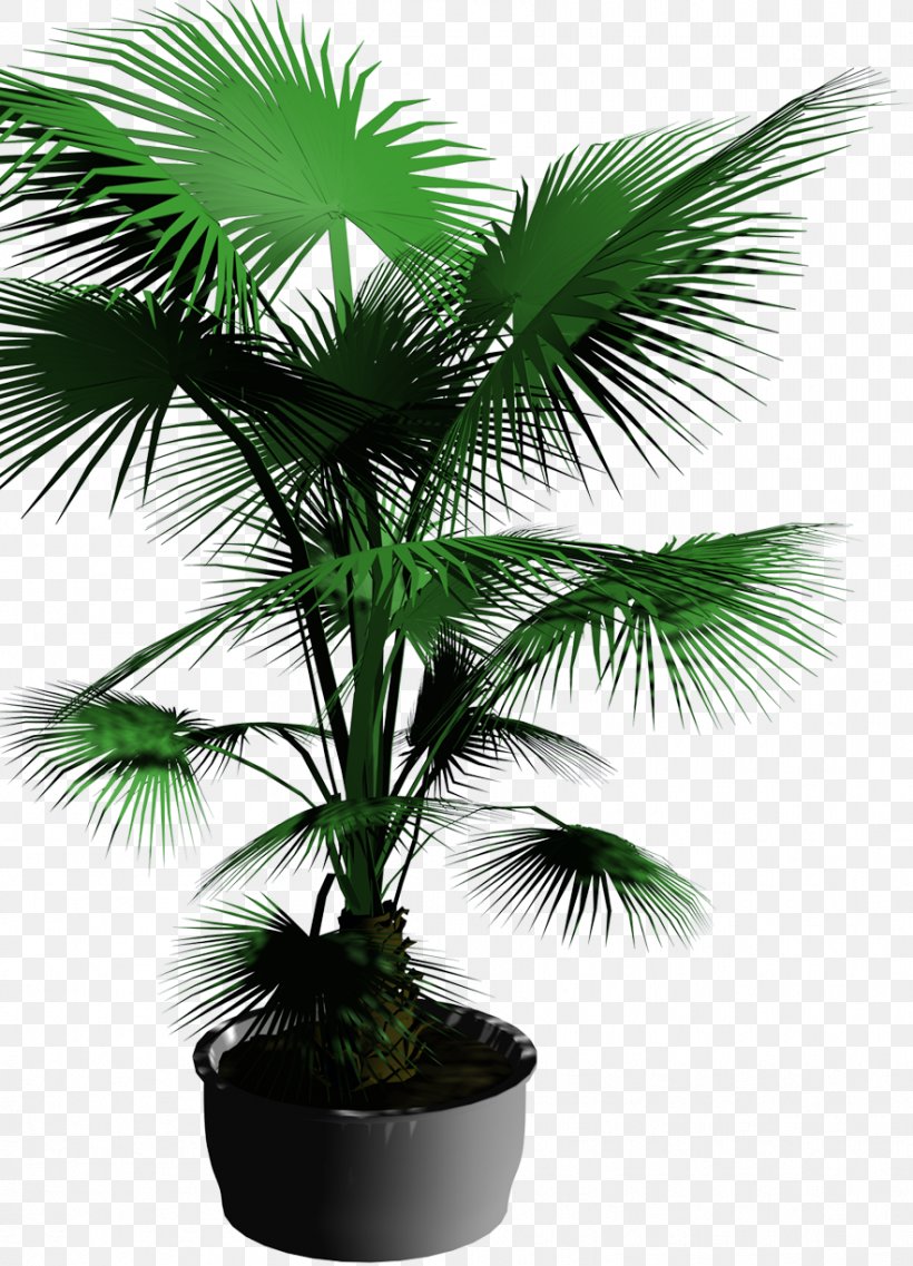 Bonsai Template Flowerpot Tree, PNG, 882x1223px, Bonsai, Arecales, Borassus Flabellifer, Coconut, Computeraided Design Download Free