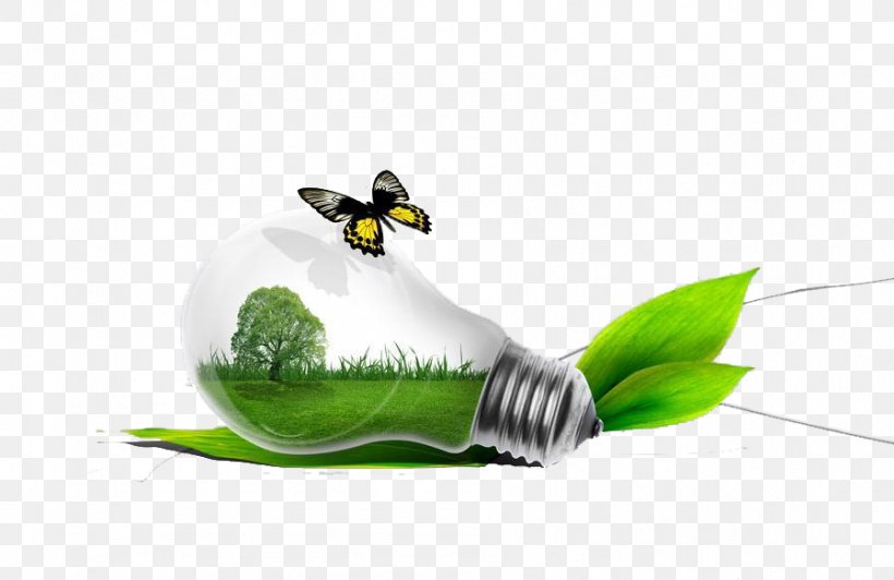 Incandescent Light Bulb LED Lamp Electric Light, PNG, 899x584px, Light, Beak, Bird, Blacklight, Butterfly Download Free