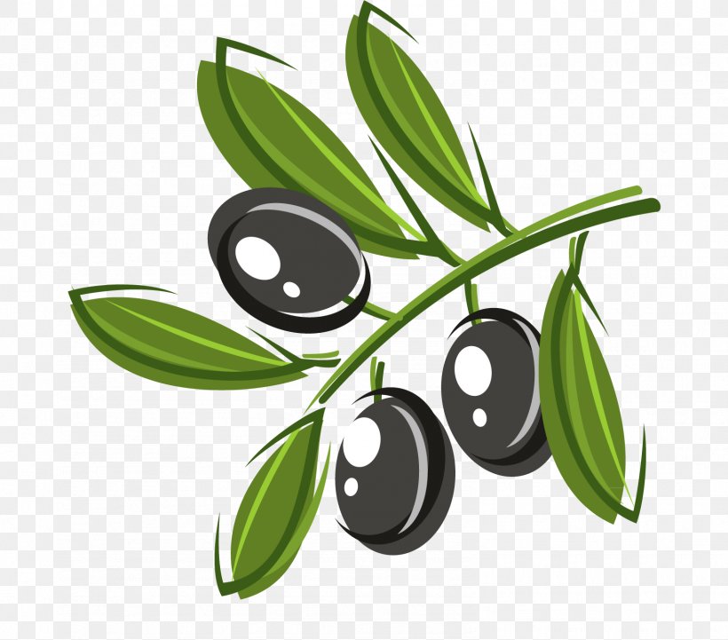 Olive Oil Vector Graphics Clip Art, PNG, 1581x1392px, Olive, Bottle, Cooking, Cooking Oils, Flowering Plant Download Free