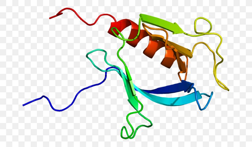PLEKHB2 Protein Pleckstrin Homology Domain Gene, PNG, 723x478px, Watercolor, Cartoon, Flower, Frame, Heart Download Free