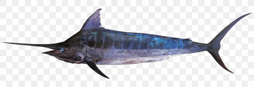 Swordfish Bony Fishes Atlantic Blue Marlin, PNG, 1200x410px, Swordfish, Angling, Animal Figure, Atlantic Blue Marlin, Barracuda Download Free