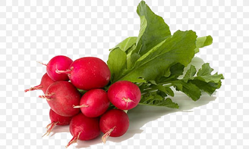 Daikon Pickled Radish Organic Food Vegetable, PNG, 936x562px, Daikon, Beet, Beetroot, Chard, Cranberry Download Free