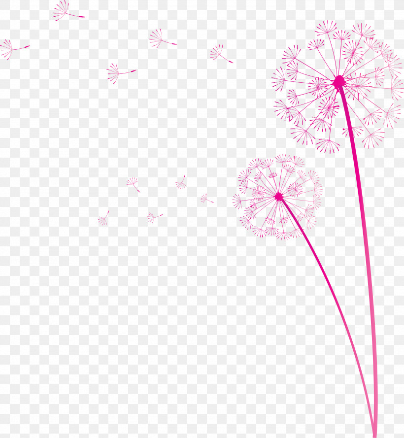 Dandelion, PNG, 2765x3000px, Dandelion, Biology, Floral Design, Flower, Geometry Download Free