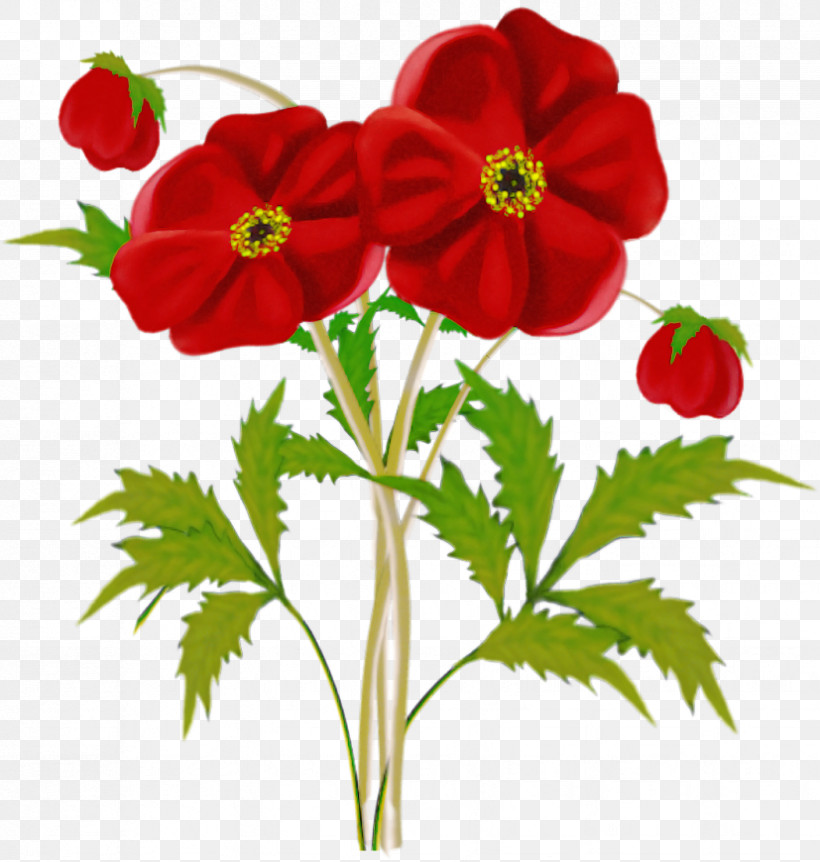 Flower Plant Petal Red Coquelicot, PNG, 827x870px, Flower, Anemone, Cinquefoil, Coquelicot, Petal Download Free