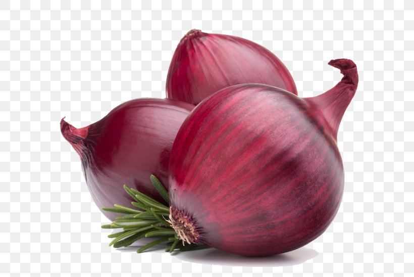 Red Onion Vegetable, PNG, 600x548px, Red Onion, Bangalore Rose Onion, Display Resolution, Flowering Plant, Ingredient Download Free