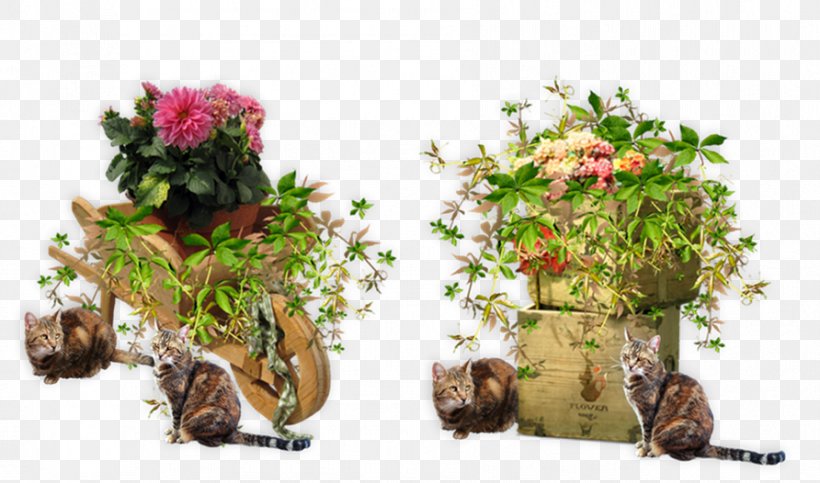 Garden Flowerpot Houseplant Fountain Bench, PNG, 892x526px, Garden, Bench, Branch, Chair, Flora Download Free