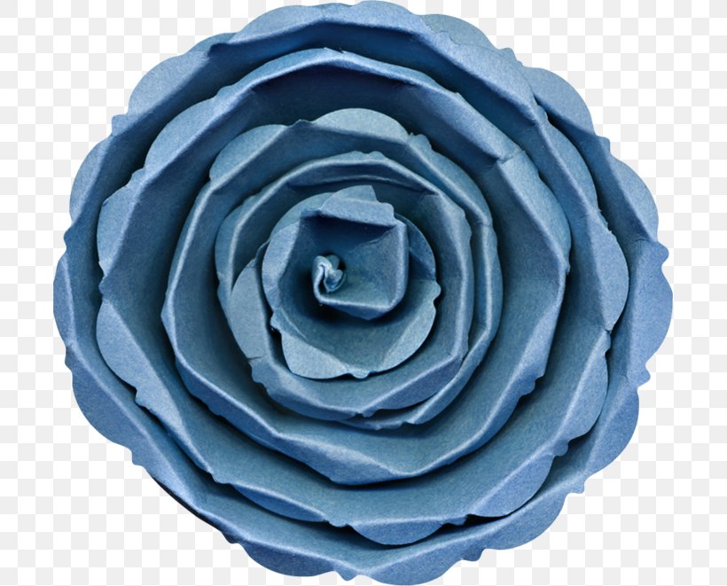 Garden Roses Blue Rose Petal, PNG, 699x661px, Garden Roses, Blue, Blue Rose, Cut Flowers, Drawing Download Free