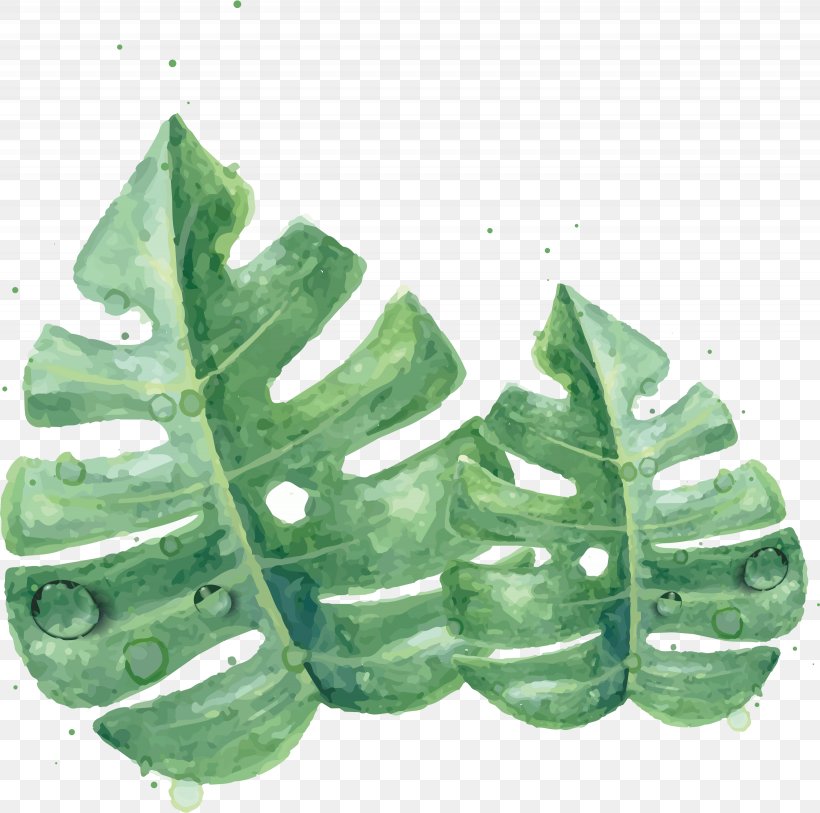 Leaf Watercolor Painting Green Skin, PNG, 2460x2440px, Green, Color, Leaf, Organism, Pattern Download Free