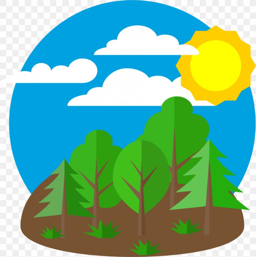 Natural Environment Forestry Nature Clip Art, PNG, 892x895px, Natural Environment, Area, Art, Artwork, Environment Download Free