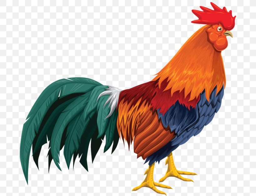 Rooster Chicken Cartoon Download, PNG, 700x630px, Rooster, Albom, Animation, Beak, Bird Download Free