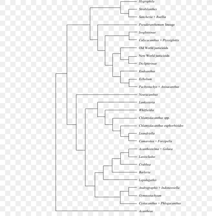 Phylogenetic Tree Phylogenetics Cladogram Fusarium Solani, PNG, 600x838px, Phylogenetic Tree, Anatomy, Area, Asian Longhorned Beetle, Black And White Download Free