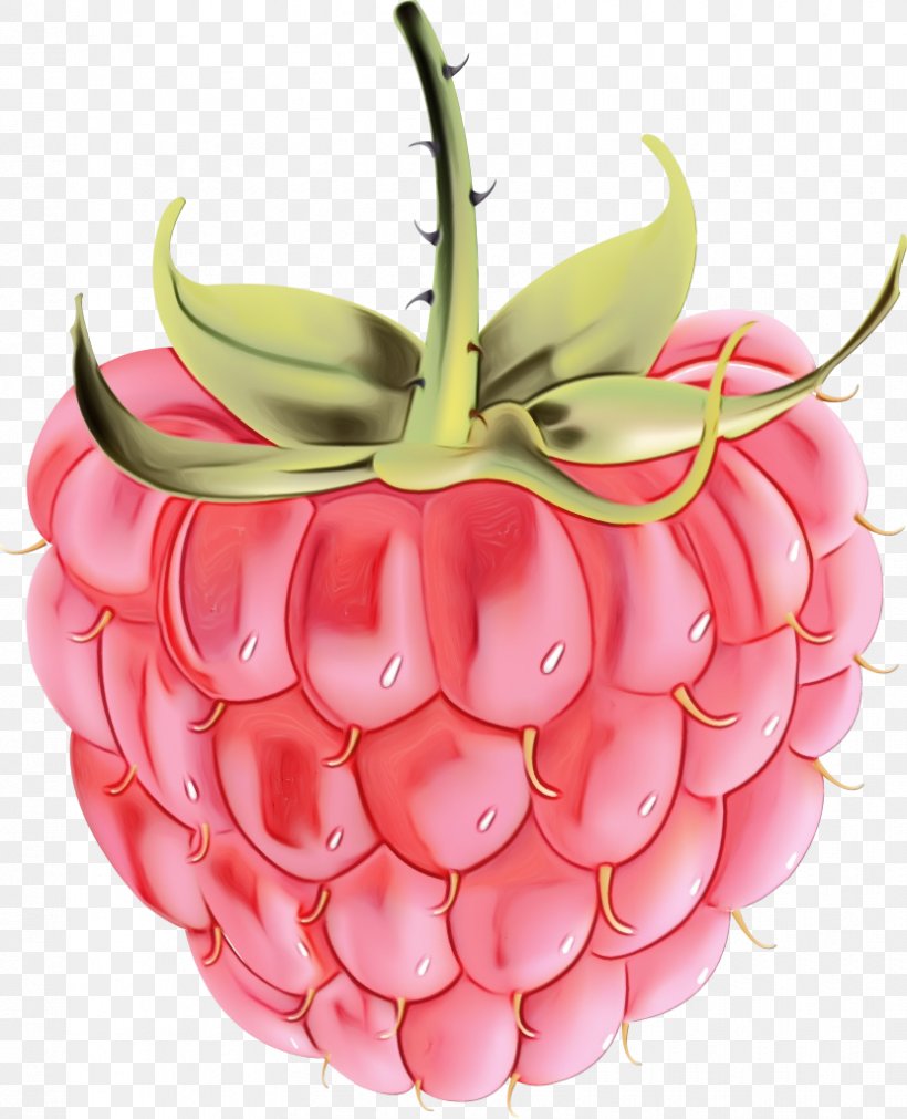 Pineapple, PNG, 830x1024px, Watercolor, Accessory Fruit, Ananas, Food, Fruit Download Free