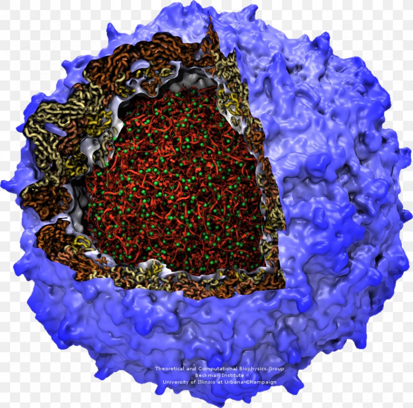 Poliovirus Poliomyelitis RNA Capsid, PNG, 863x854px, Poliovirus, Atom, Capsid, Cobalt Blue, Electric Blue Download Free