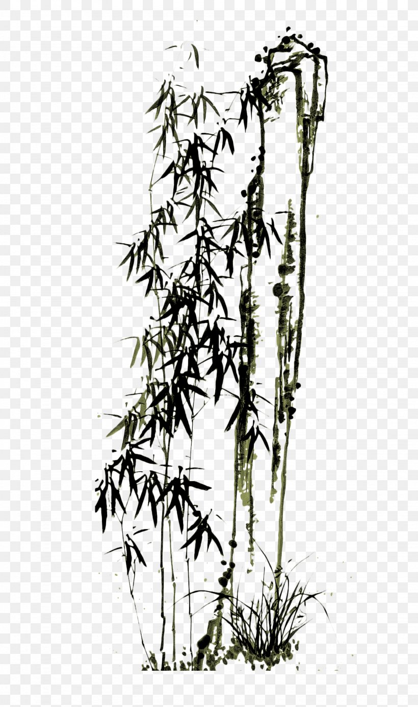 Bamboo Paper Drawing, PNG, 1639x2767px, Bamboo, Bamboe, Bambusa Oldhamii, Black And White, Branch Download Free